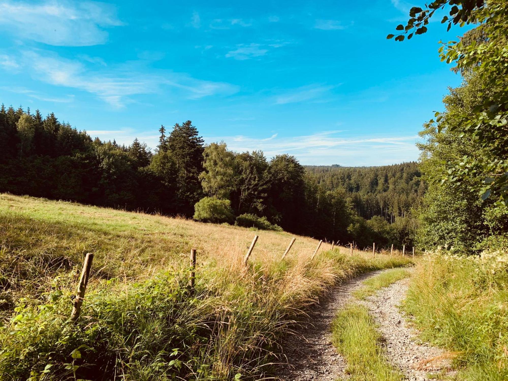 Hjem - Tiny Homes Direkt Am Wald Zwischen Allgaeu & Bodensee Bergatreute Eksteriør bilde